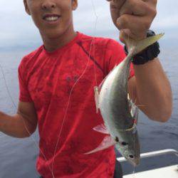 シーモンキー 釣果