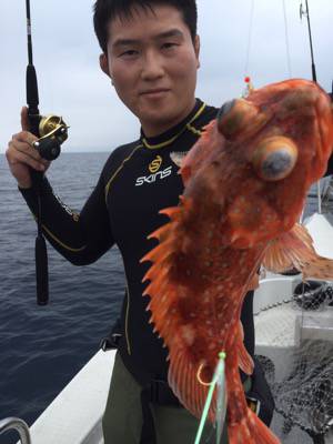 シーモンキー 釣果