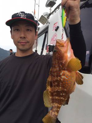 シーモンキー 釣果