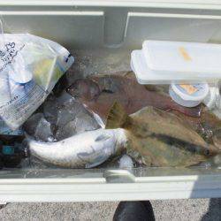 大進丸(新潟) 釣果