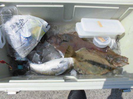 大進丸(新潟) 釣果