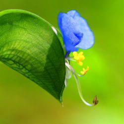 小菅トラウトガーデン 釣果