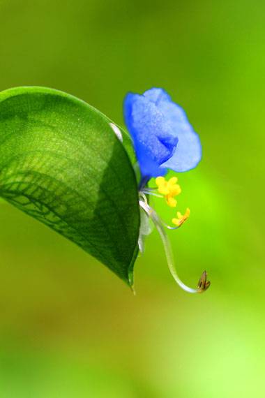 小菅トラウトガーデン 釣果