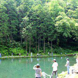 小菅トラウトガーデン 釣果