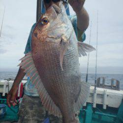 清和丸 釣果