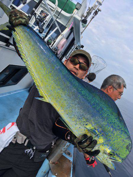 松鶴丸 釣果