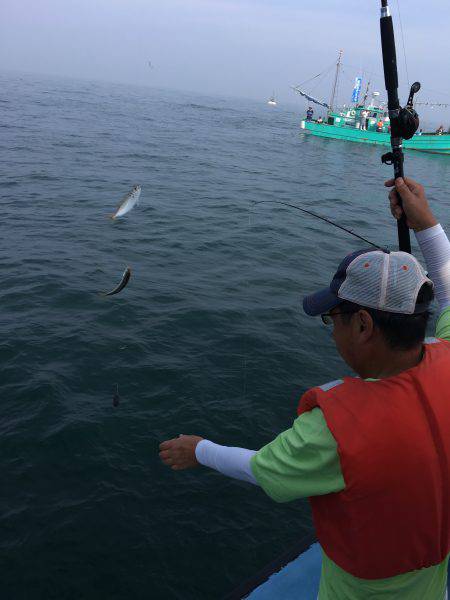 松鶴丸 釣果