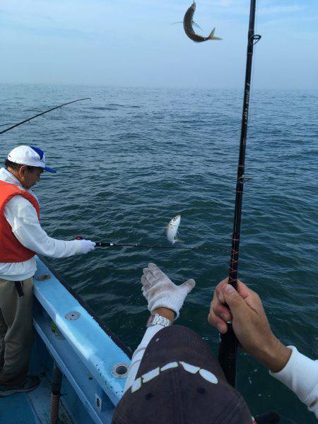 松鶴丸 釣果
