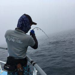 松鶴丸 釣果