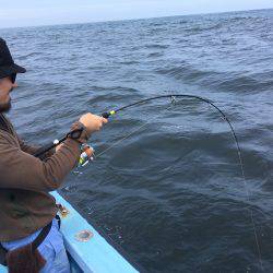 松鶴丸 釣果