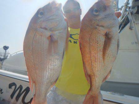 美里丸 釣果
