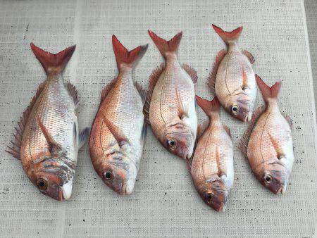 オーシャンズ 釣果