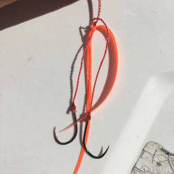 オーシャンズ 釣果