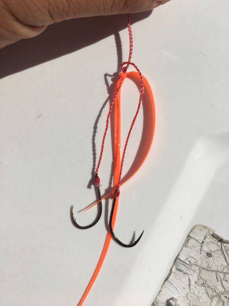 オーシャンズ 釣果