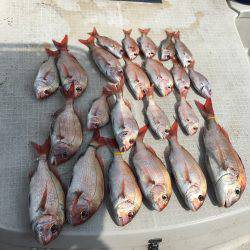 オーシャンズ 釣果