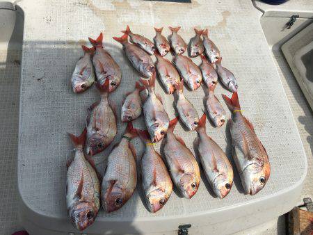 オーシャンズ 釣果