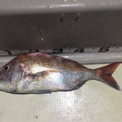 オーシャンズ 釣果