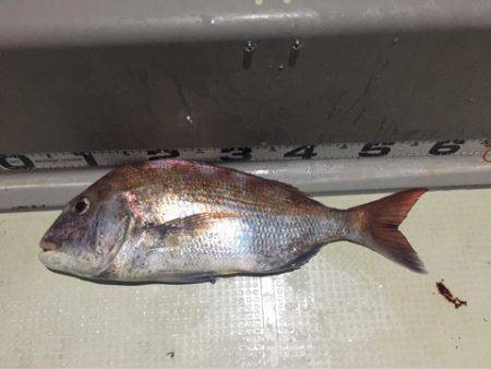 オーシャンズ 釣果