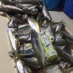 オーシャンズ 釣果