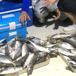 オーシャンズ 釣果