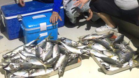 オーシャンズ 釣果