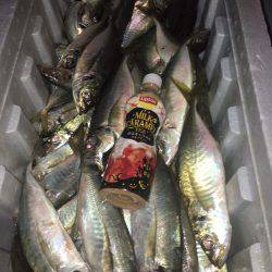 オーシャンズ 釣果