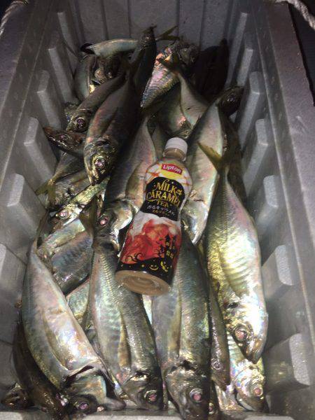 オーシャンズ 釣果