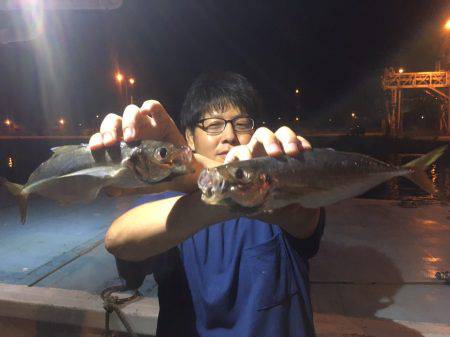 オーシャンズ 釣果