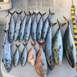 オーシャンズ 釣果