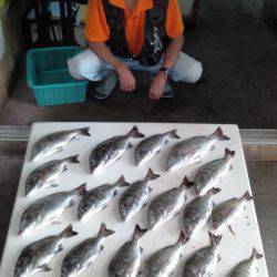 ふじや釣舟店 釣果