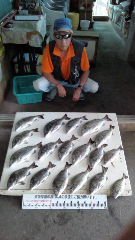 ふじや釣舟店 釣果