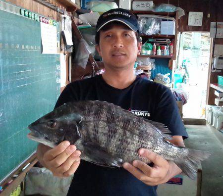 ふじや釣舟店 釣果