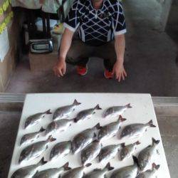 ふじや釣舟店 釣果