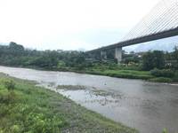 秩父フライフィールド 釣果