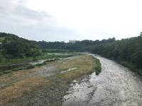 秩父フライフィールド 釣果