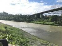 秩父フライフィールド 釣果