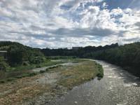 秩父フライフィールド 釣果