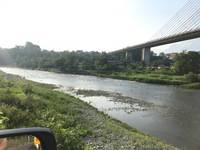 秩父フライフィールド 釣果