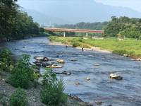 秩父フライフィールド 釣果