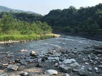 秩父フライフィールド 釣果