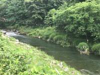 秩父フライフィールド 釣果