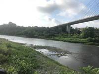 秩父フライフィールド 釣果