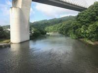 秩父フライフィールド 釣果