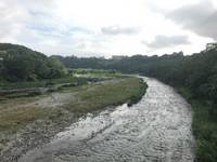 秩父フライフィールド 釣果