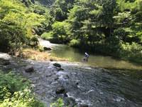 秩父フライフィールド 釣果