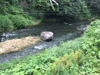 秩父フライフィールド 釣果