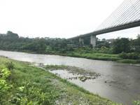 秩父フライフィールド 釣果