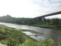 秩父フライフィールド 釣果