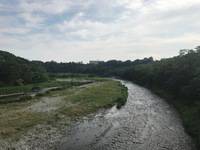 秩父フライフィールド 釣果