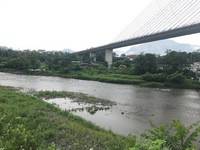 秩父フライフィールド 釣果